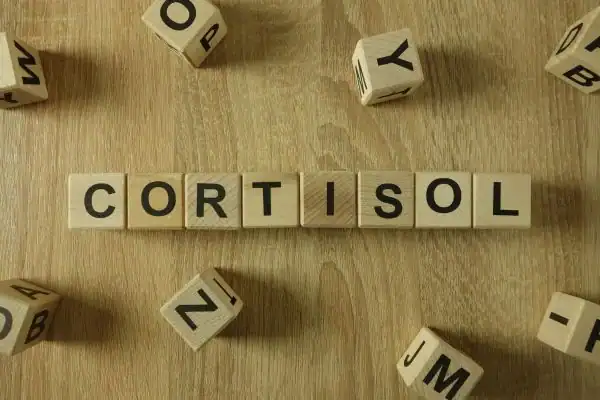 The Hidden Connection: How Stress Shapes Your Fitness and Body Composition 2 Image saying "Cortisol" and how stress Hertfordshire impacts your wellbeing and bodies shape